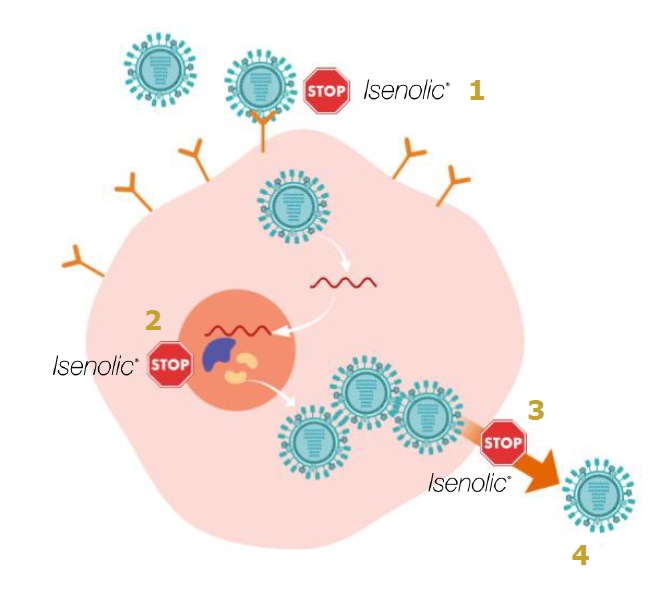Zdravy svet Lipozomalny Imunity booster, 200 ml popis 2